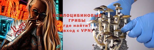 соль ск Балахна