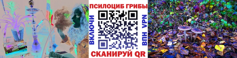 Псилоцибиновые грибы Psilocybe  Нязепетровск 